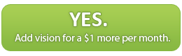 Add Vision for $1 more per month
